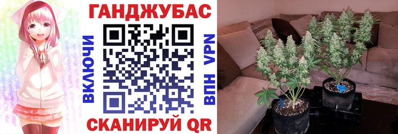 Хочу наркоту Щёлкино Гашиш  NBOMe  Меф мяу мяу  СК  Бошки Шишки  Cocaine 