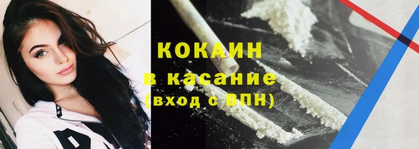 трава Няндома