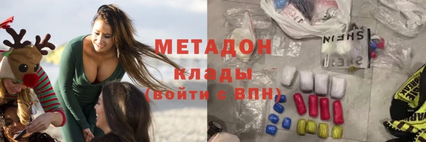 трава Няндома