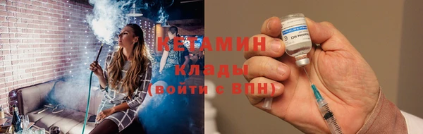 трава Няндома
