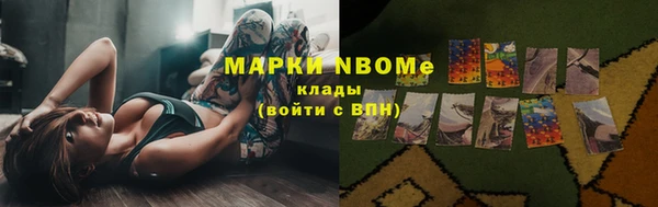 трава Няндома