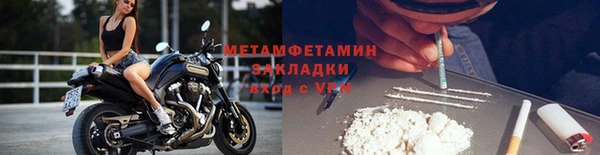 прущие грибы Новодвинск