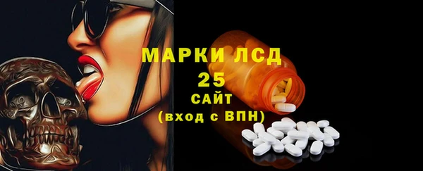 прущие грибы Новодвинск