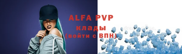 прущие грибы Новодвинск