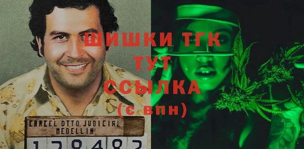 прущие грибы Новодвинск