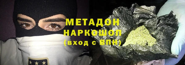 трава Няндома