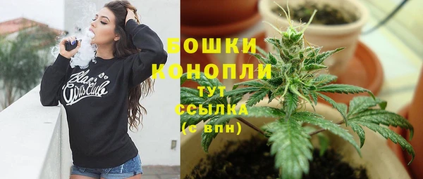 spice Новозыбков