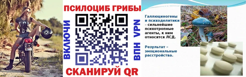 дарнет шоп  Щёлкино  Псилоцибиновые грибы Cubensis 